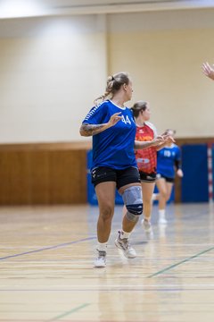 Bild 22 - F TSV Ellerau - HSG Tills Loewen 08 : Ergebnis: 16:18
